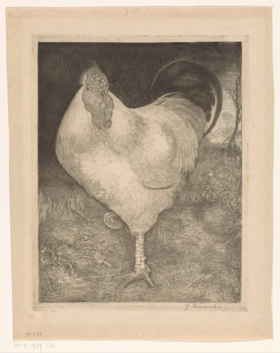 Coq sur une patte - Jan Mankes (signed by artist)
