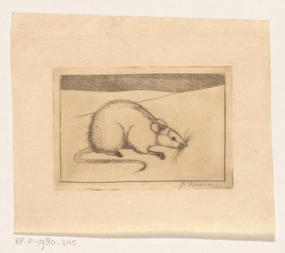 Souris - Jan Mankes (signed by artist)