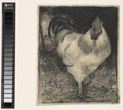 Coq sur une patte - Jan Mankes