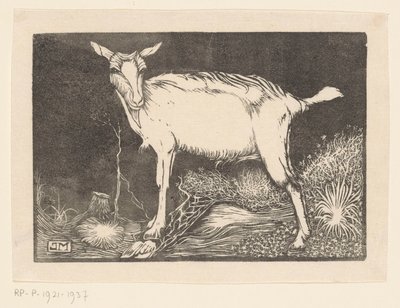 Chèvre blanche - Jan Mankes