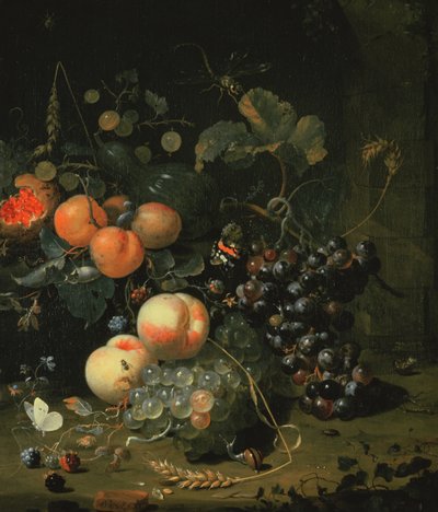 Nature morte avec fruits et fleurs - Jan Mortel