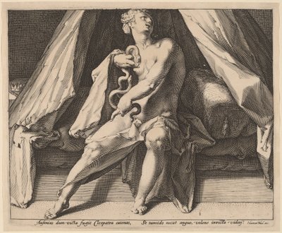 Cléopâtre - Jan Muller