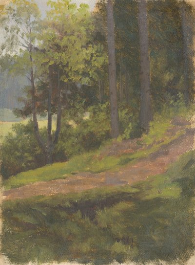 Chemin au bord de la forêt - Jan Nowopacký