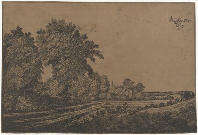 Chemin de campagne avec arbres - Jan Ruyscher