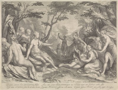 Diane découvre la grossesse de Callisto - Jan Saenredam
