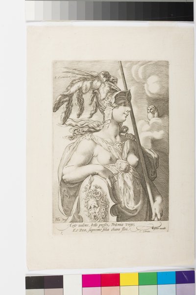 Minerva - Jan Saenredam