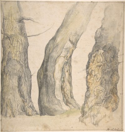 Étude de trois vieux arbres noueux - Jan Siberechts
