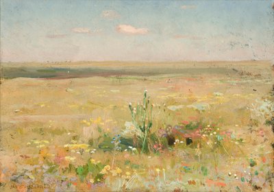 Steppe - Jan Stanislawski