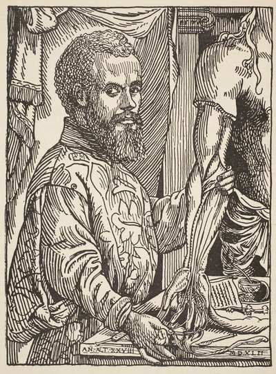 André Vésale, copie par Boris Mestchersky (d.1957), illustration de Histoire de la Nation Française, Sciences, Volumes I et II, par Gabriel Hanotaux (1853-1944), 1924 - Jan Stephen van Calcar