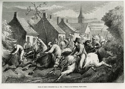 Course de bœufs à Braesschaet, village de polder, pour célébrer l