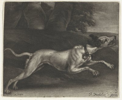 Chien courant - Jan Verkolje (I)