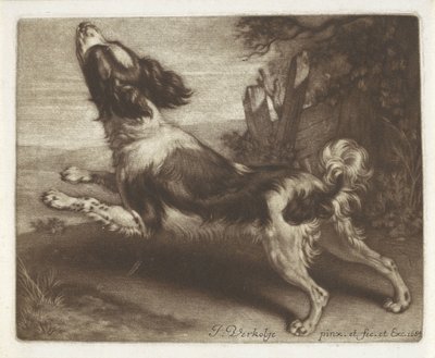 Chien courant, peut-être un épagneul - Jan Verkolje (I)