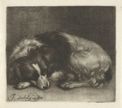 Chien endormi, probablement un épagneul - Jan Verkolje (I)