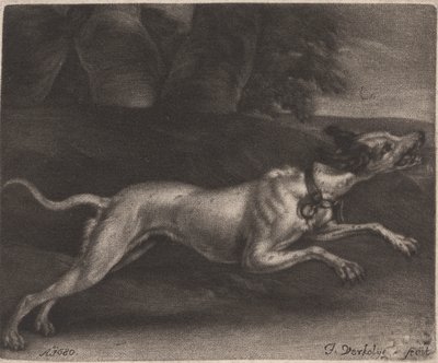 Un chien courant - Jan Verkolje