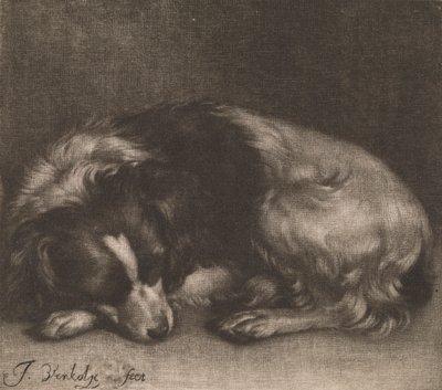Un chien endormi - Jan Verkolje