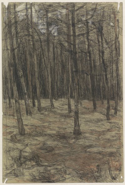 Paysage forestier - Jan Veth