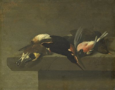 Oiseaux morts - Jan Vonck