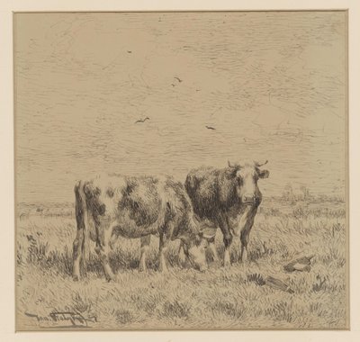 Deux vaches dans un pré - Johannes Martinus Vrolijk