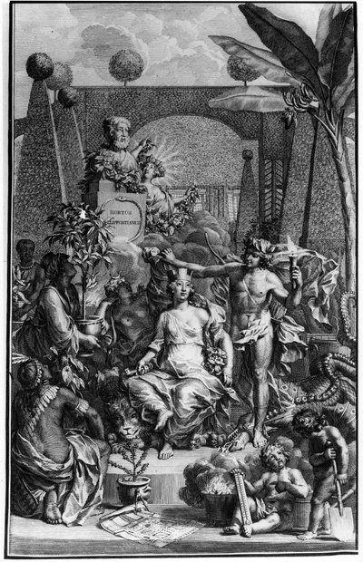 Frontispice de « Hortus Cliffortianus » par Charles Linné (Carl von Linné, Linné 1707 - 1778), naturaliste suédois. 1737. Gravure par Jan Wandelaar (1690-1759). Collection privée - Jan Wandelaar