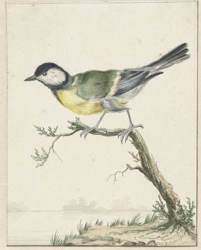 Mésange - Jan Baptist Weenix