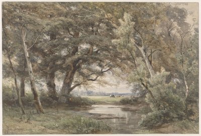 Petit Étang sous les Arbres à la Fin d