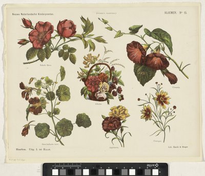 Fleurs - Jan de Haan
