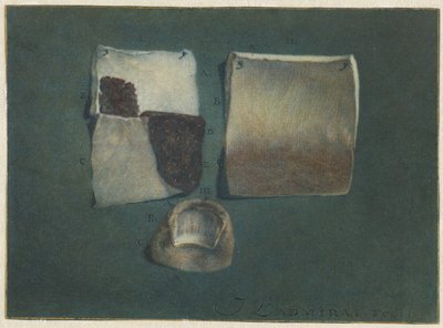Étude anatomique de la peau et de l