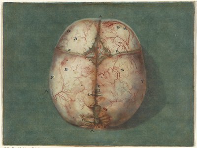 Impressions du cerveau et du cœur - Jan l