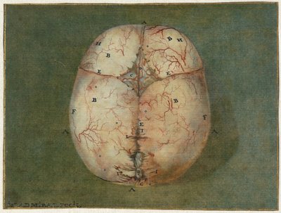 Impressions du cerveau et du cœur - Jan l