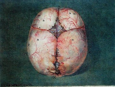Le cerveau, de 