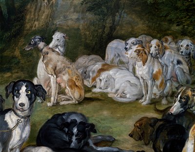 Chiens (détail) - Jan the Elder Brueghel