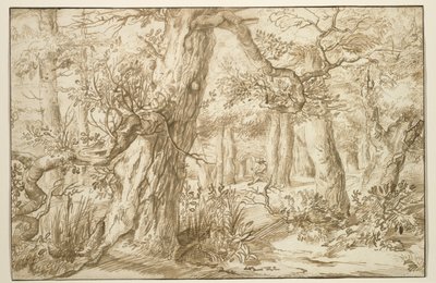 Intérieur de forêt avec dessinateur, vers 1664 - Jan the Elder Lievens