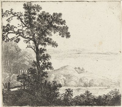 Paysage avec arbre au bord d