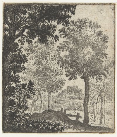 Paysage avec grand arbre au premier plan - Jan van Brosterhuyzen