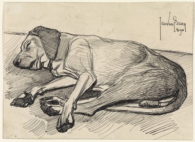 Chien endormi, vers la gauche - Jan van Essen