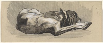 Chien endormi, vers la droite - Jan van Essen