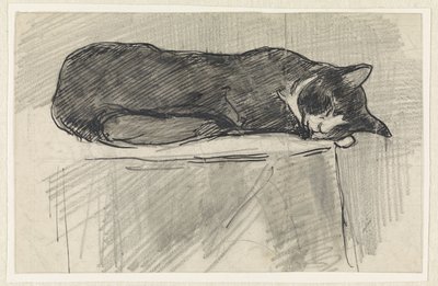 Chat endormi - Jan van Essen