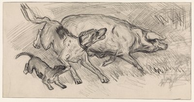 Deux chiens chassant un cochon - Jan van Essen