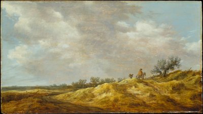 Chemin à travers les dunes - Jan van Goyen