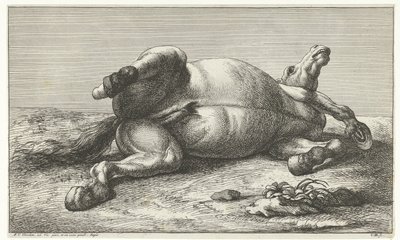 Cheval mort couché sur le côté gauche - Jan van Huchtenburg