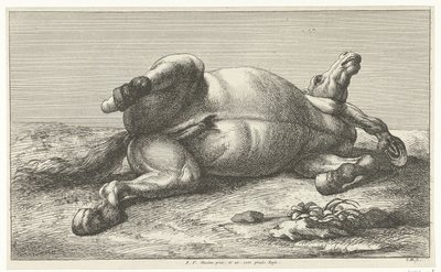 Cheval mort couché sur le côté gauche - Jan van Huchtenburg