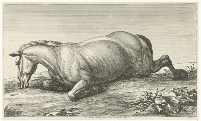Cheval mort couché sur le ventre - Jan van Huchtenburg