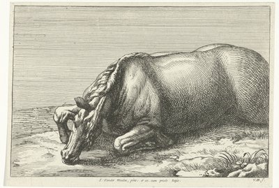 Cheval mort vu de côté (Chevaux morts) - Jan van Huchtenburg
