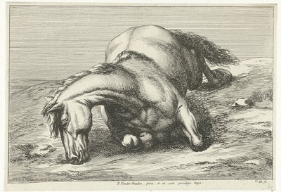 Cheval mort couché sur le côté droit - Jan van Huchtenburg