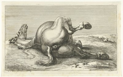 Cheval mort vu de dos - Jan van Huchtenburg