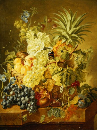 Prunes, une Pêche, Raisins, un Melon, un Ananas, une Figue, Groseilles, Cerises et Fleurs dans un Panier, et Raisins, une Grenade, Prunes et une Figue, avec des Papillons sur un Rebords de Pierre - Jan van Huysum