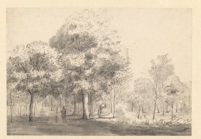 Vue du Haarlemmerhout, Haarlem - Jan van Kessel (attributed to)
