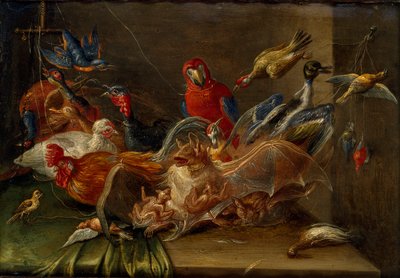 Composition de nature morte décorative avec oiseaux et deux chauves-souris - Jan van Kessel