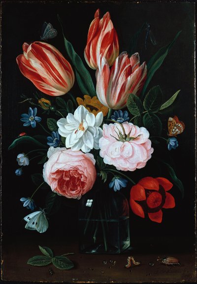 Fleurs dans un Vase - Jan van Kessel
