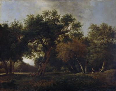 Vue dans les bois - Jan van  Kessel